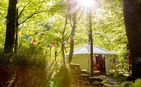 Larkhill Tipis And Yurts